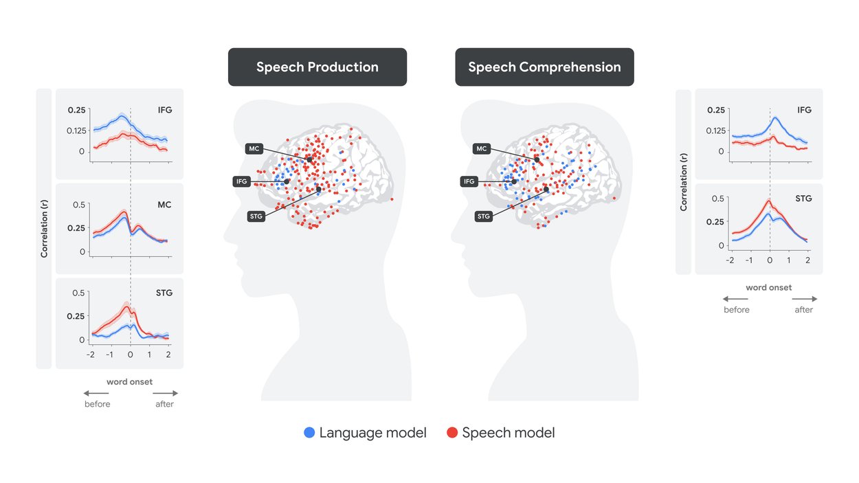 LLMs and the brain